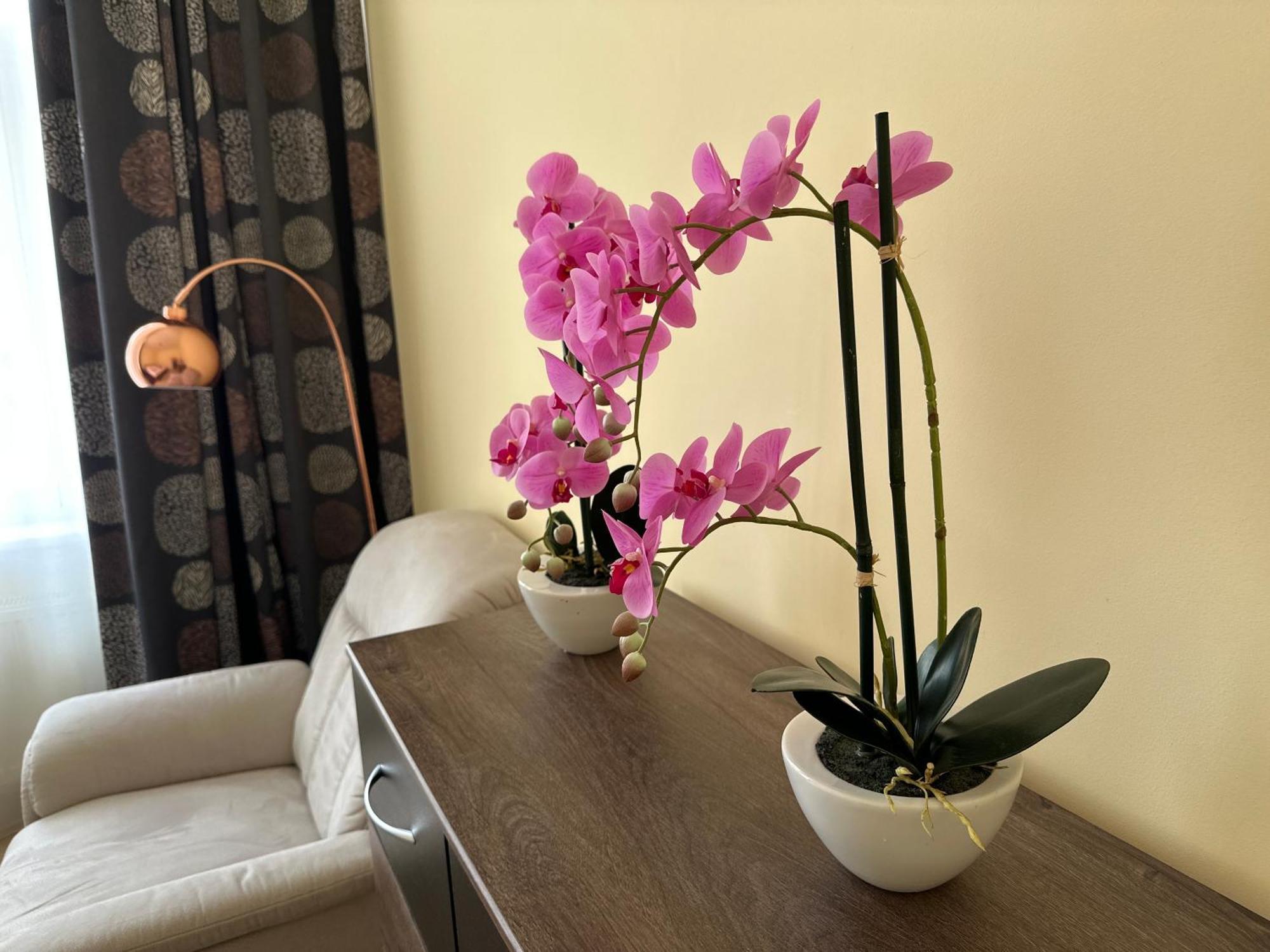Apartment Zeyerova4 卡罗维发利 外观 照片