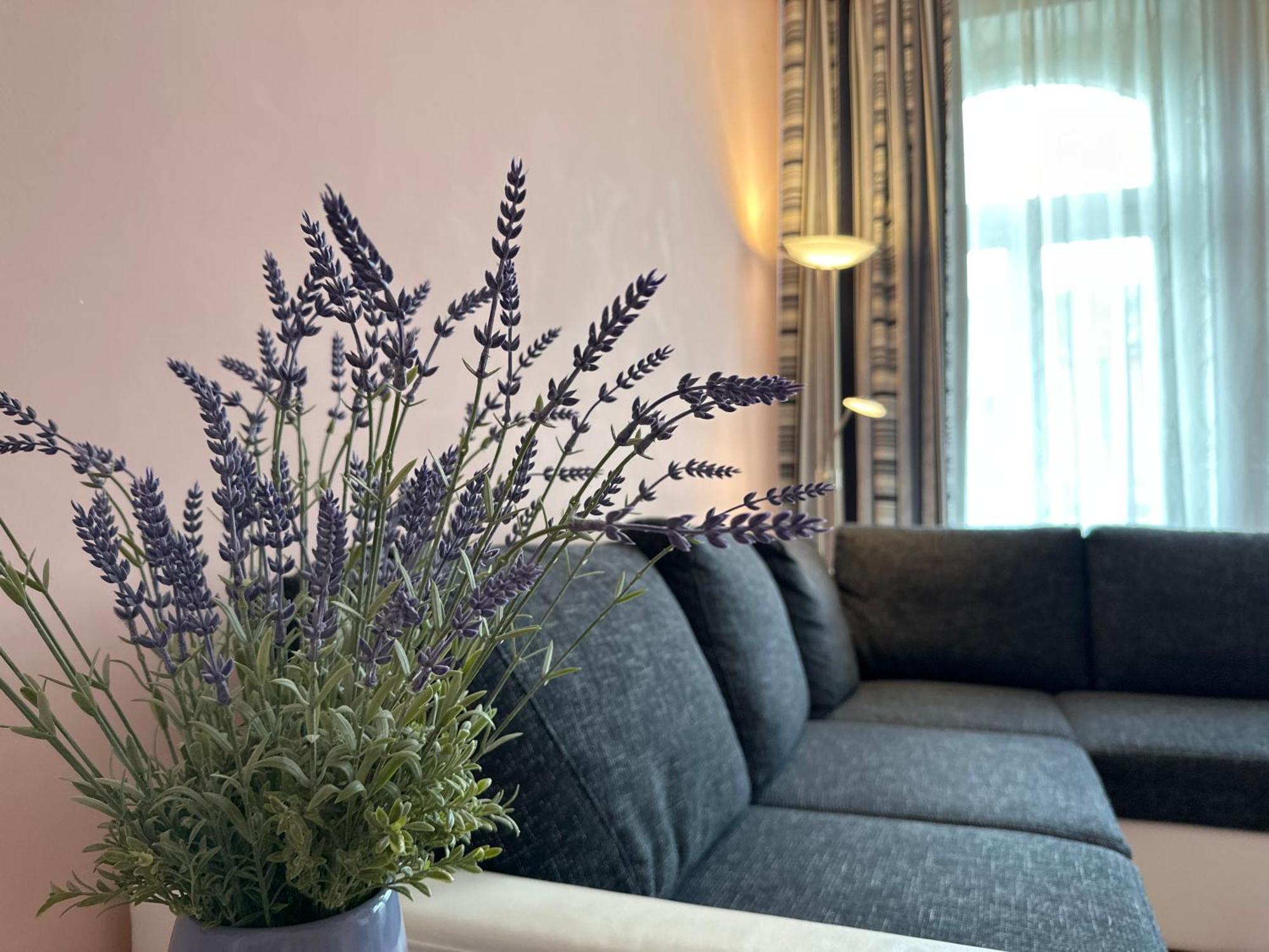 Apartment Zeyerova4 卡罗维发利 外观 照片